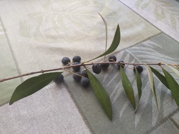 Does anyone know what these berries are? Also need a butter alternative for pastry.