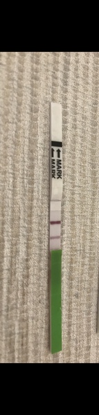 2 week wait