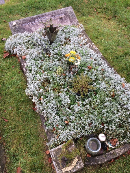 Any Witches Here Part 5.