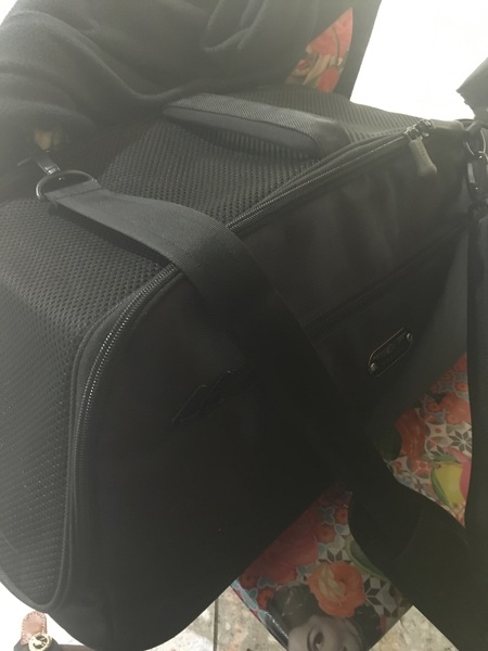 Has anyone been on a plane with their cat in the cabin before?