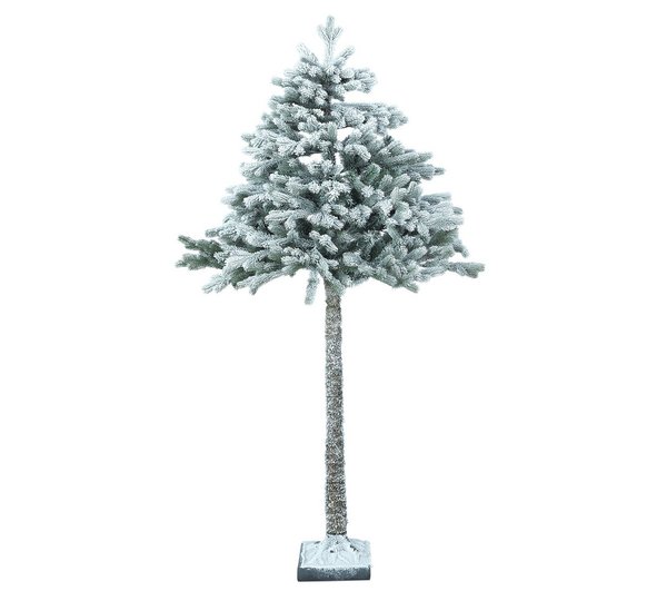 Christmas Trees in November