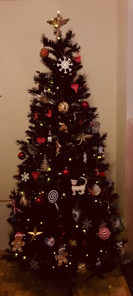 If you already have your tree up can I see it please?