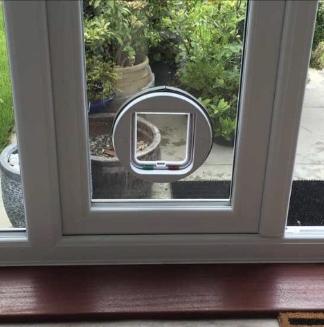 When to let cats out