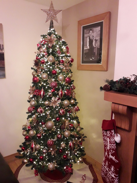 If you already have your tree up can I see it please?
