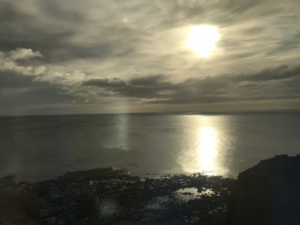 Dog friendly but luxury in Scotland?