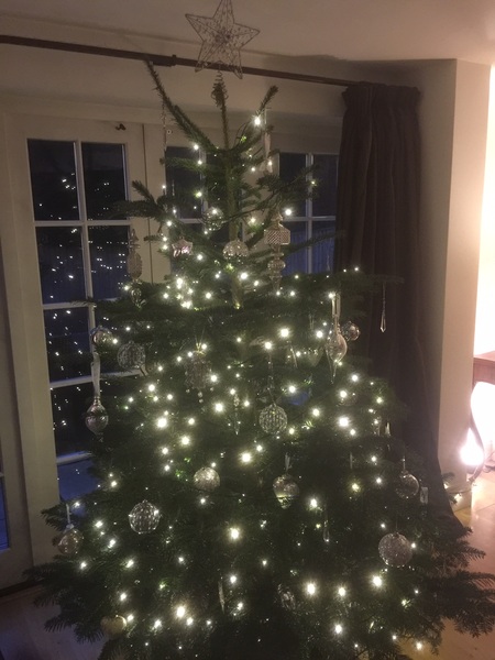 If you already have your tree up can I see it please?