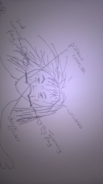 Do you want to see a drawing of me?