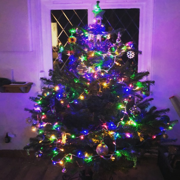 If you already have your tree up can I see it please?