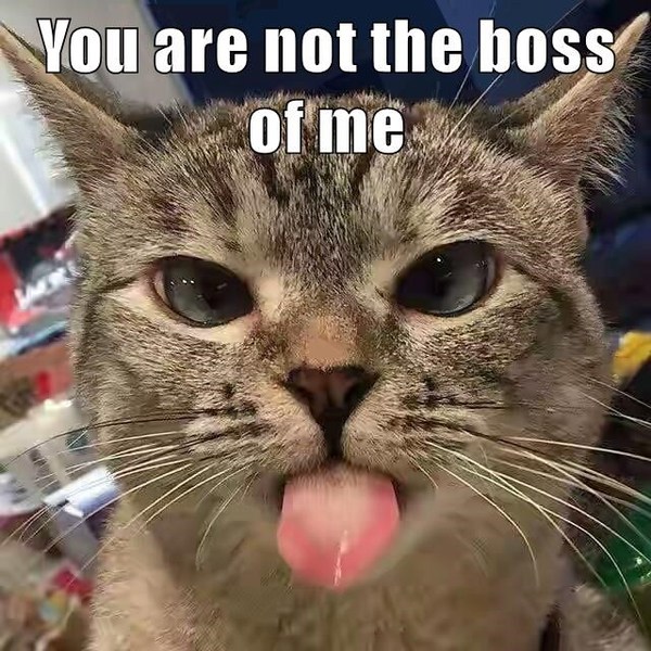 I was told off by a work colleague
