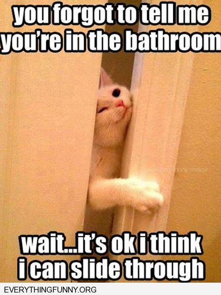 When do I get to go to the toilet in peace?!