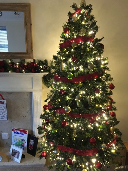 Christmas Trees in November