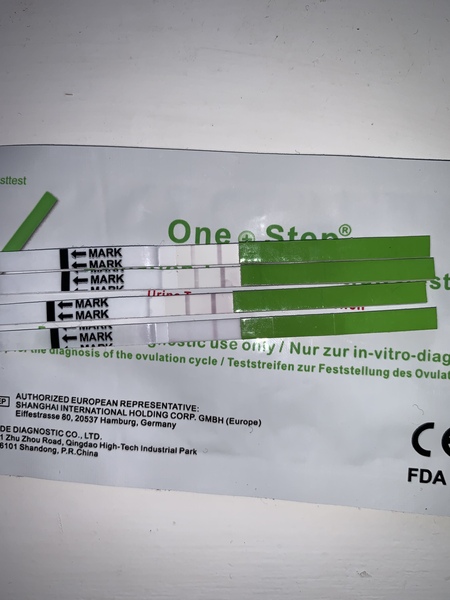 Is this a nearly positive OPK?