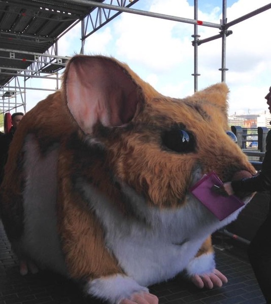 What odd things do you see on your commute?