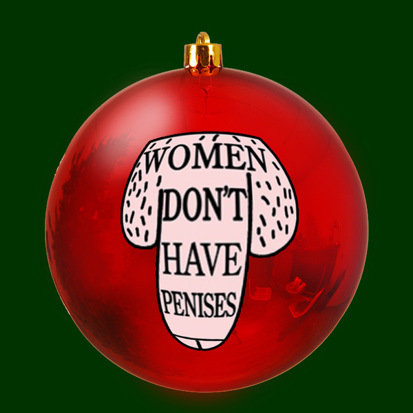 12 days of feministmas