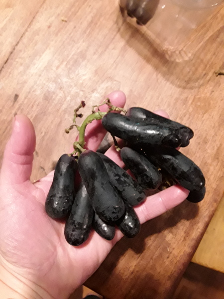 Countdown to  a Frugal Christmas, The Friendly Frugaleers still knitting,nattering and money saving!