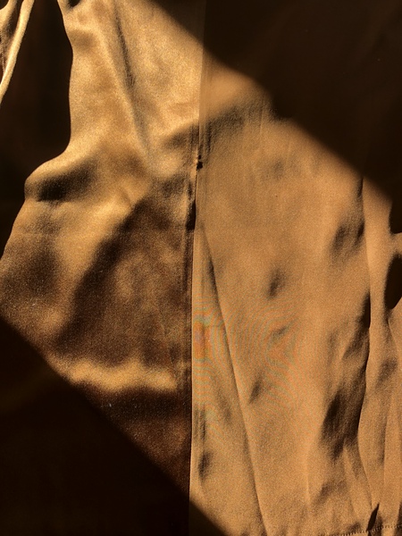 Les Parisiennes de Mamansnet: Orangutans in Paris make for poor gondoliers