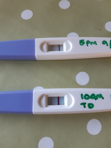 Possibly Pregnant? Help/Advice