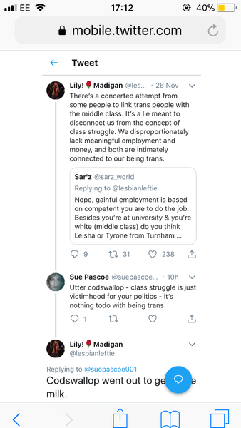 Lily Madigan and the School Saga