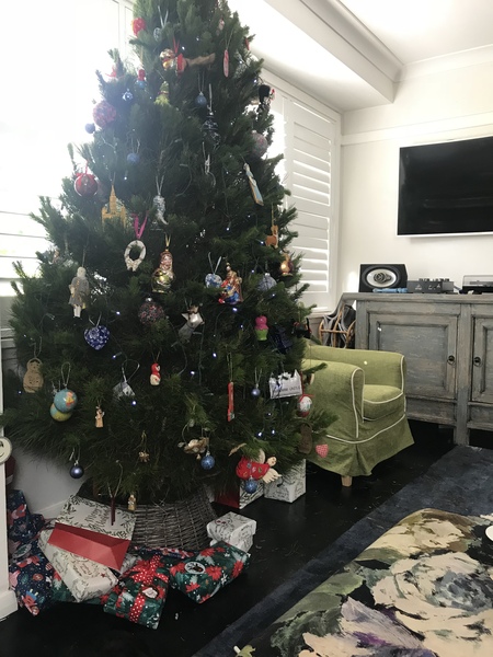 If you already have your tree up can I see it please?