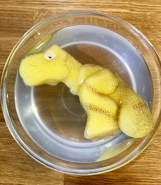 What am I supposed to do with this dinosaur now it’s hatched then?
