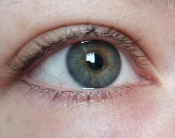 Are my eyes green?