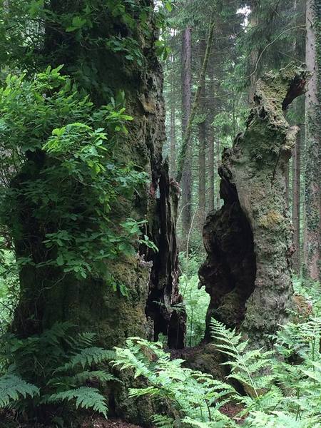 Any Witches Here Part 4 [Edited by MNHQ]