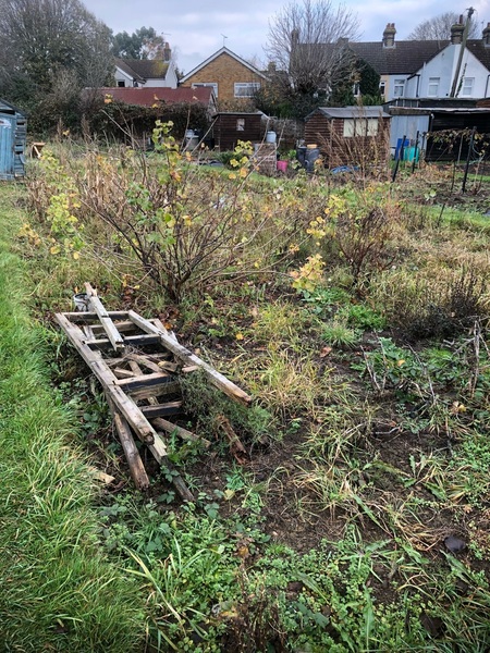 Allotment?Veg Patch Thread 13! Are we weathering the weather?