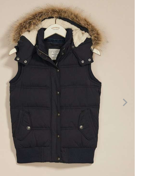 Has anyone seen a gilet like this one?