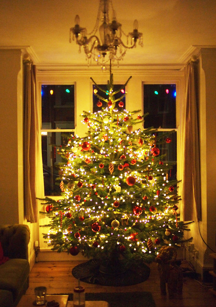 If you already have your tree up can I see it please?