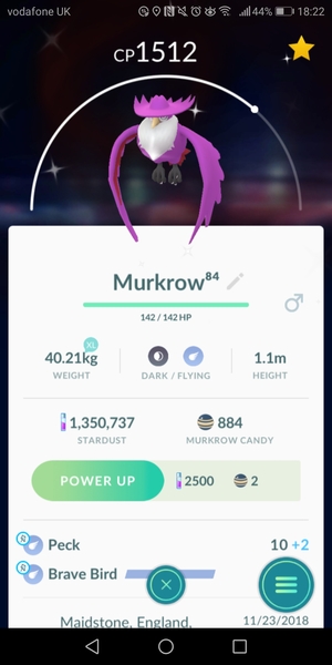 PokemonGo #20. There's a Ratatta in my kitchen, chuck a ball at it.