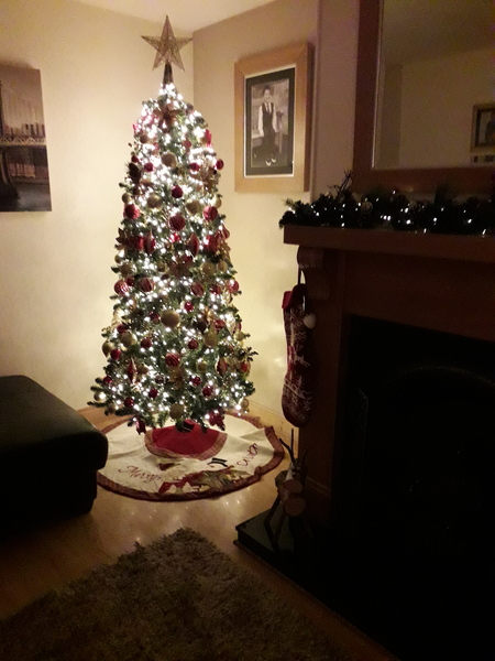 If you already have your tree up can I see it please?