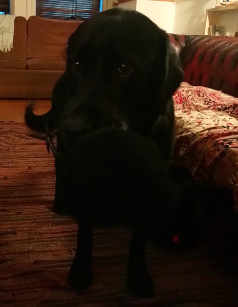 What can I buy from Argos for £4ish to win a bet?