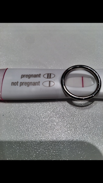 October/November IVF