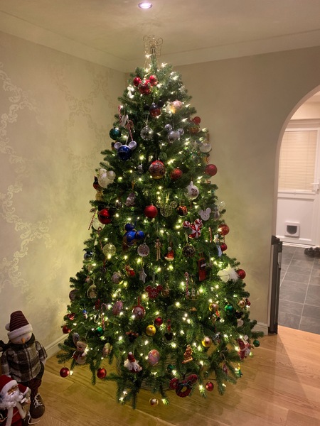 If you already have your tree up can I see it please?