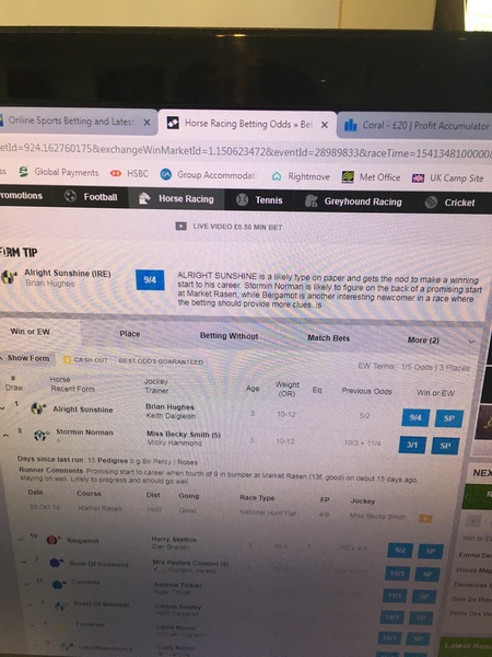 Matched betting...could anyone talk me through it?