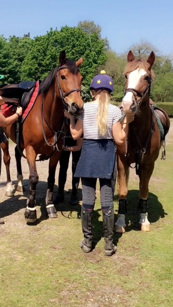 My first horse - how can you afford it?