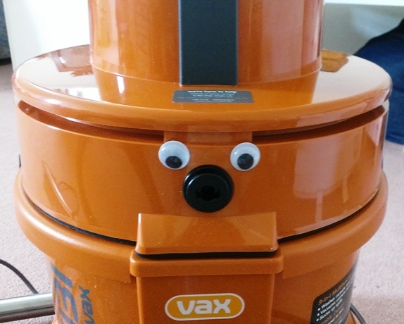 To wonder what's the point of a robotic vacuum?