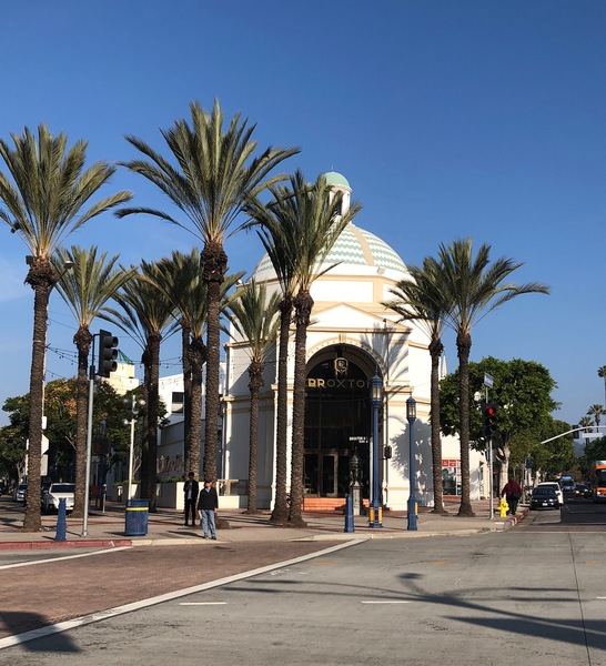 Week 6: Onwards and downwards into the 2nd half