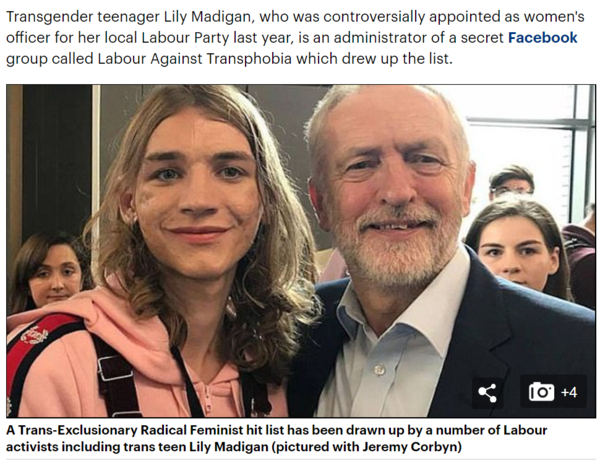 Lily Madigan and the School Saga