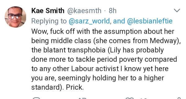 Lily Madigan and the School Saga