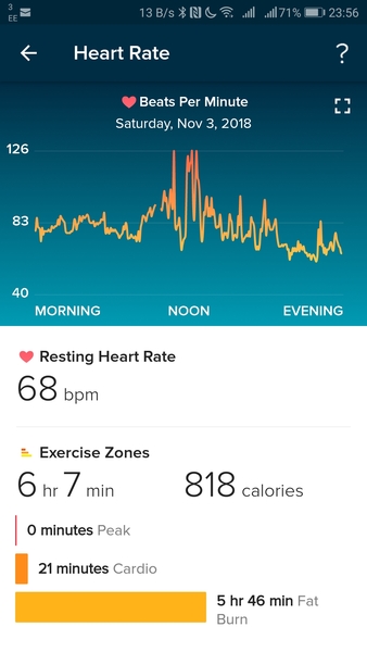 Calling all Fitbit users... can I really be burning this many calories?