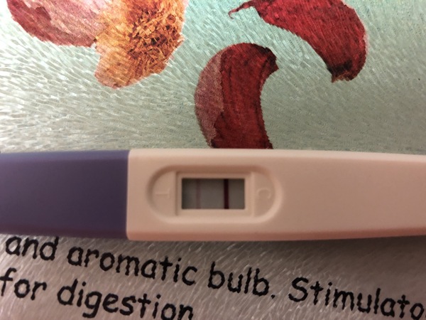 Just found out I’m pregnant. Had 2 previous miscarriages.