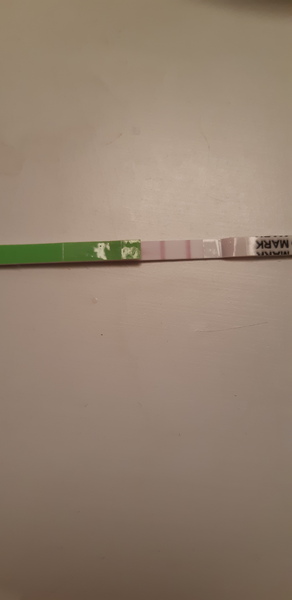 Could I be ovulating without period? (Pic included)
