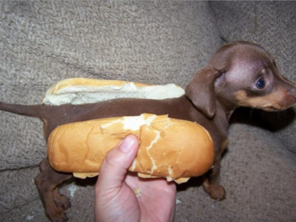 Badley Fuckitt Welcomes Careful Drivers