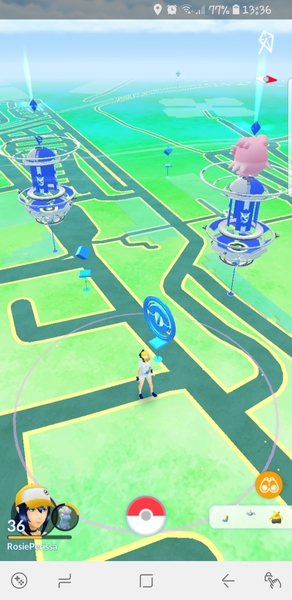 PokemonGo #20. There's a Ratatta in my kitchen, chuck a ball at it.