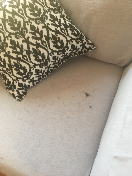 How do I encourage him out of the bedroom?