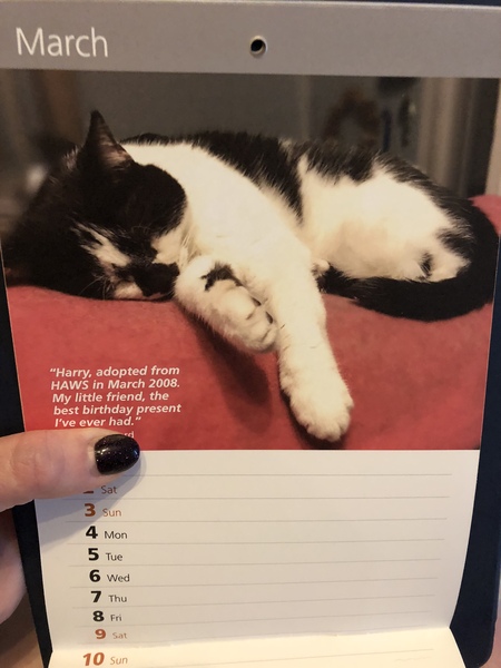 Meet Mr March!