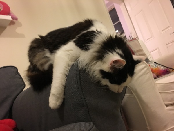 Paint me like one of your Apprentice girls