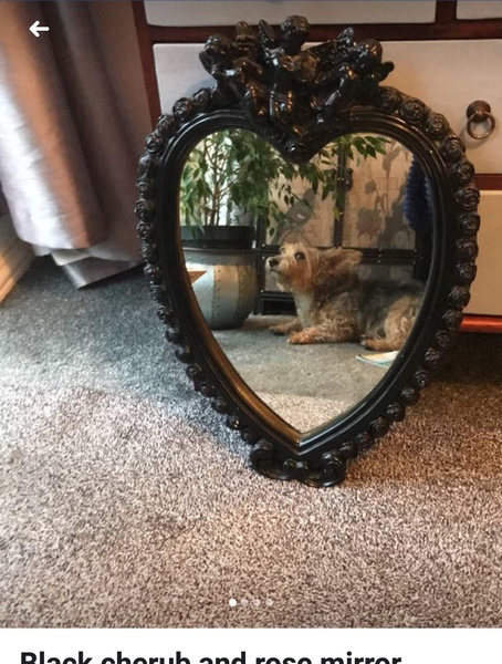 .. To start a "mirror for sale pics" thread to make me laugh why battling b***y cold?