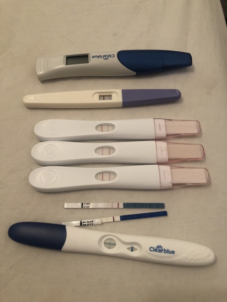 July 2019 Part 3 - Still in the 1st Trimester!